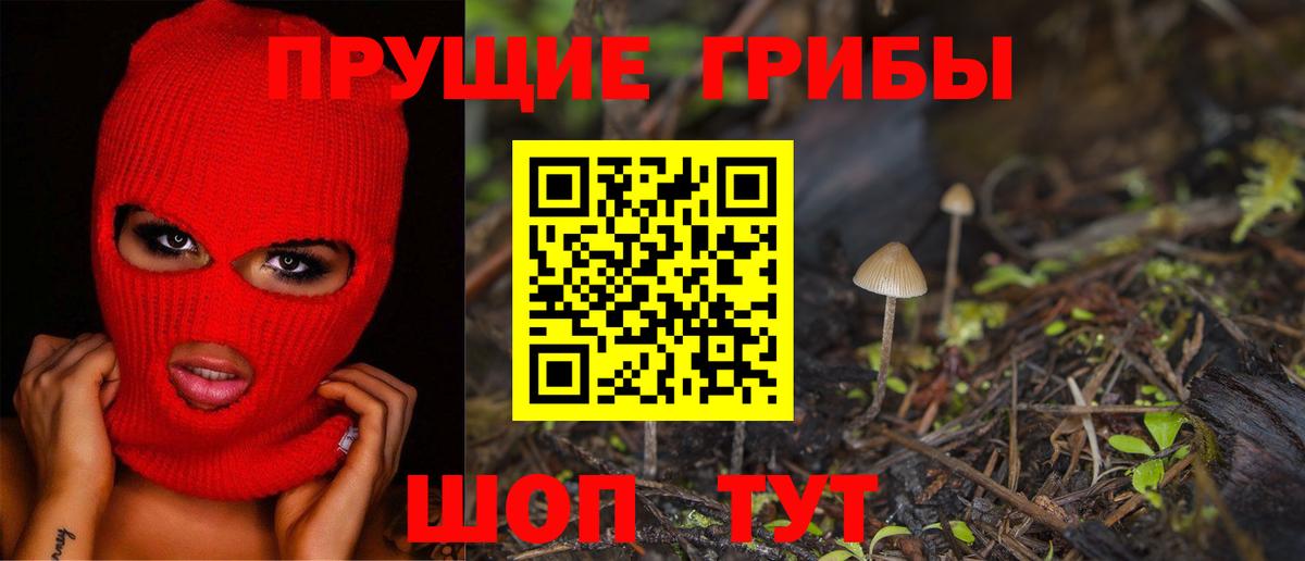Галлюциногенные грибы GOLDEN TEACHER  Вход с VPN  хочу наркоту  Полысаево  Галлюциногенные грибы прущие грибы 